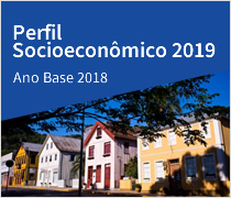 Perfil Socioeconômico 2019